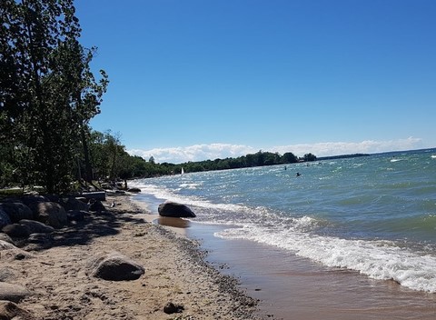 Hardwood, firewood for sale, delivered by the bush cord, to Georgina Ontario, on the southern shore of Lake Simcoe.